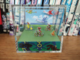 Fields of Hoenn (R/S/E Opening)