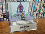 Kingdom Hearts 2 Roxas Sora Summer is Over