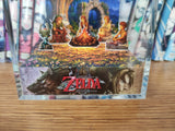 LOZ Twilight Princess Campfire