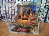 LOZ Twilight Princess Campfire