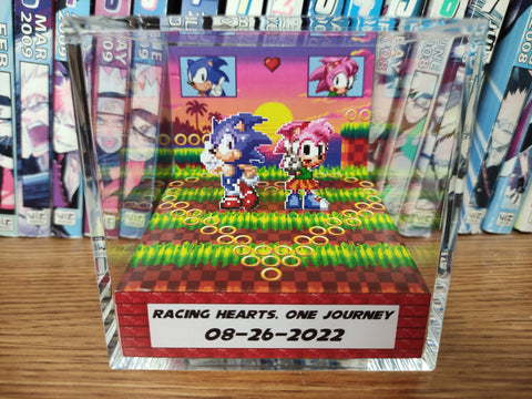 Sonic Amy Anniversary