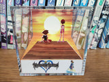 CUSTOMIZABLE Kingdom Hearts Sora and Kairi