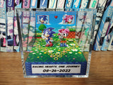 Sonic Amy Anniversary