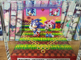 Sonic Amy Anniversary