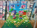Sonic Amy Anniversary